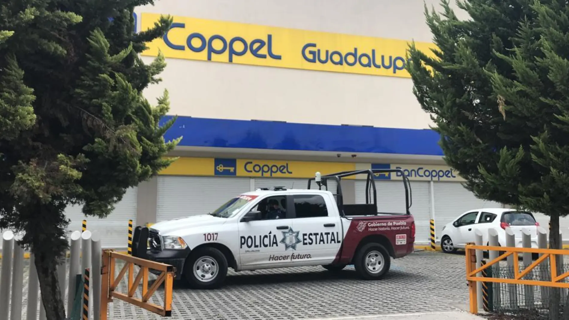 ROBO COPPEL